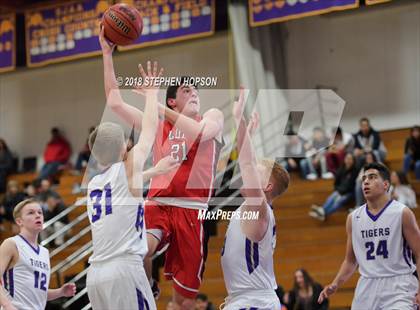 Thumbnail 1 in Lodi @ Tokay photogallery.