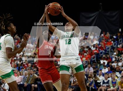 Thumbnail 3 in Tatum vs. Columbus (UIL Basketball 3A D1 Final) photogallery.