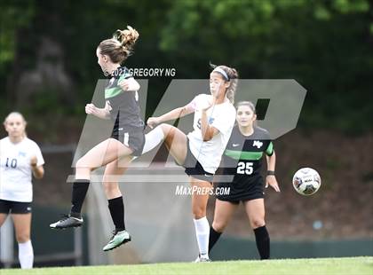 Thumbnail 3 in Panther Creek @ Myers Park photogallery.