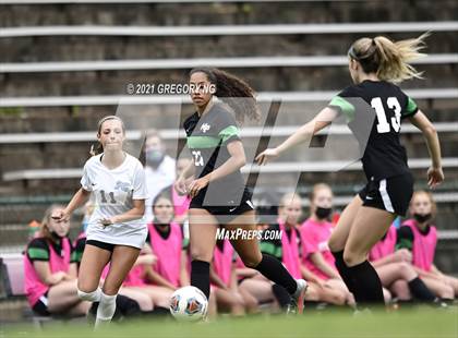 Thumbnail 1 in Panther Creek @ Myers Park photogallery.