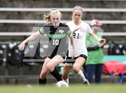 Thumbnail 1 in Panther Creek @ Myers Park photogallery.