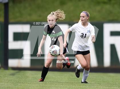 Thumbnail 1 in Panther Creek @ Myers Park photogallery.