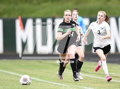 Thumbnail 3 in Panther Creek @ Myers Park photogallery.