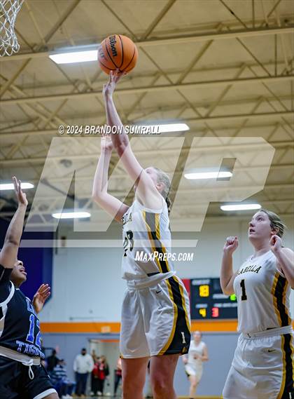 Thumbnail 1 in Chilton County vs Isabella (Chilton County Tournament) photogallery.