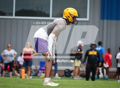 Thumbnail 2 in DeSoto Central vs Mills University Studies (U of Memphis 7v7) photogallery.