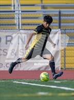 Photo from the gallery "Archie Williams @ Novato"