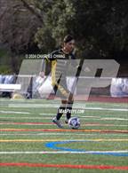 Photo from the gallery "Archie Williams @ Novato"