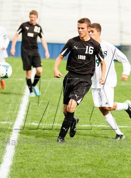 Thumbnail 2 in Conifer vs. Standley Lake photogallery.