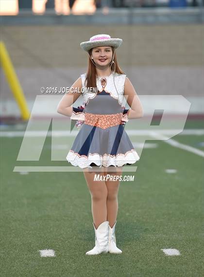Thumbnail 1 in Marshall vs Brandeis photogallery.