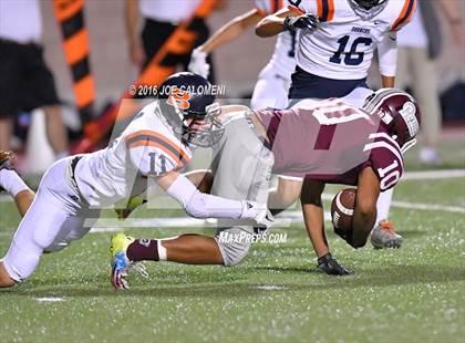 Thumbnail 1 in Marshall vs Brandeis photogallery.