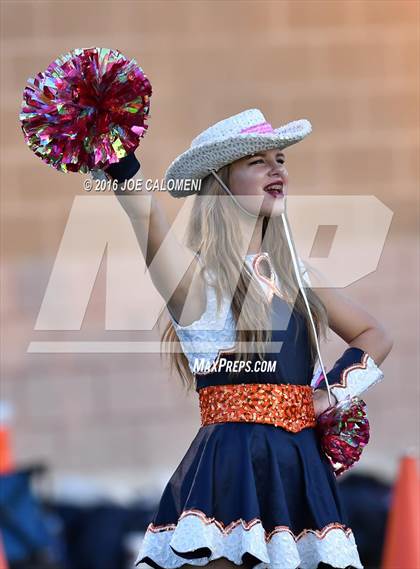 Thumbnail 1 in Marshall vs Brandeis photogallery.