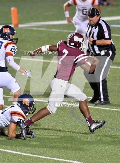 Thumbnail 1 in Marshall vs Brandeis photogallery.