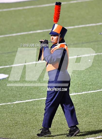 Thumbnail 1 in Marshall vs Brandeis photogallery.