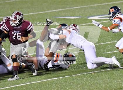 Thumbnail 1 in Marshall vs Brandeis photogallery.