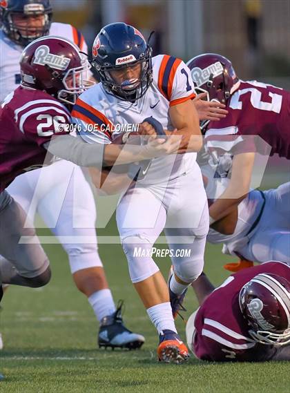 Thumbnail 1 in Marshall vs Brandeis photogallery.
