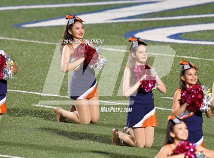 Thumbnail 1 in Marshall vs Brandeis photogallery.