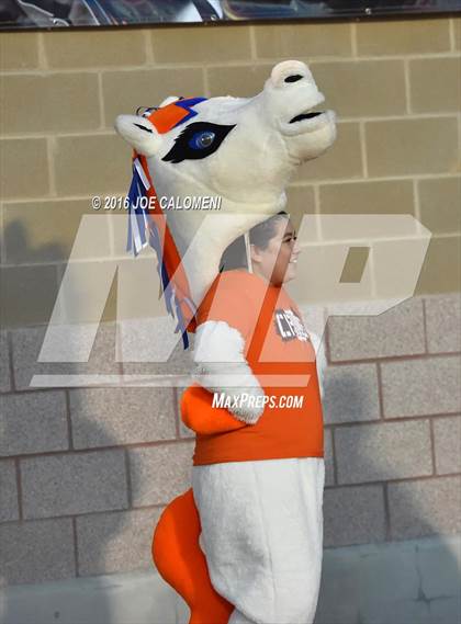Thumbnail 2 in Marshall vs Brandeis photogallery.