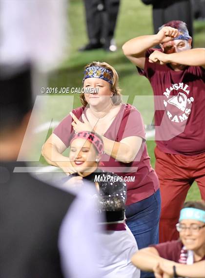 Thumbnail 1 in Marshall vs Brandeis photogallery.