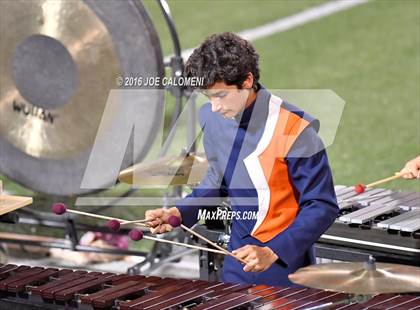 Thumbnail 3 in Marshall vs Brandeis photogallery.