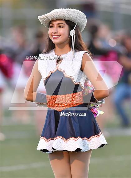 Thumbnail 1 in Marshall vs Brandeis photogallery.
