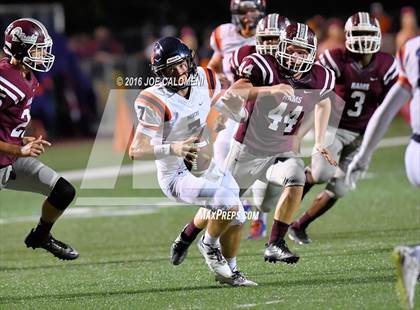 Thumbnail 1 in Marshall vs Brandeis photogallery.