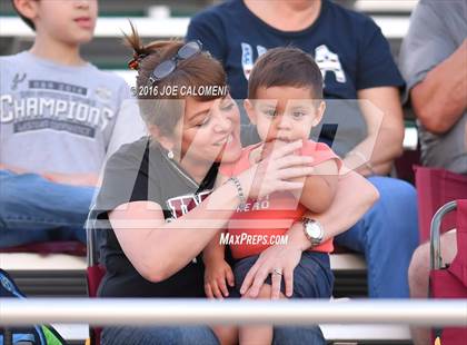 Thumbnail 1 in Marshall vs Brandeis photogallery.