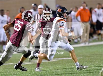 Thumbnail 1 in Marshall vs Brandeis photogallery.