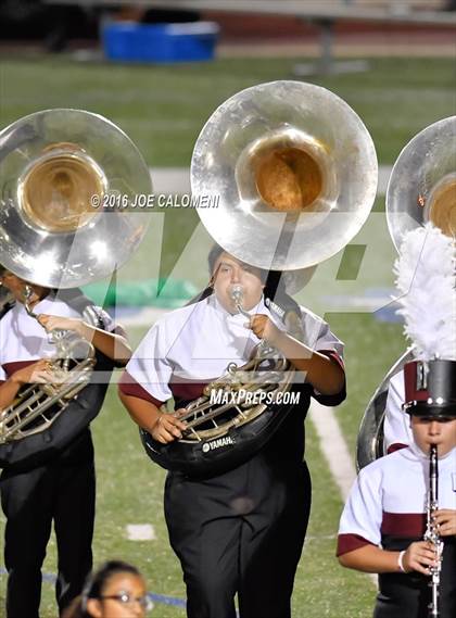 Thumbnail 1 in Marshall vs Brandeis photogallery.