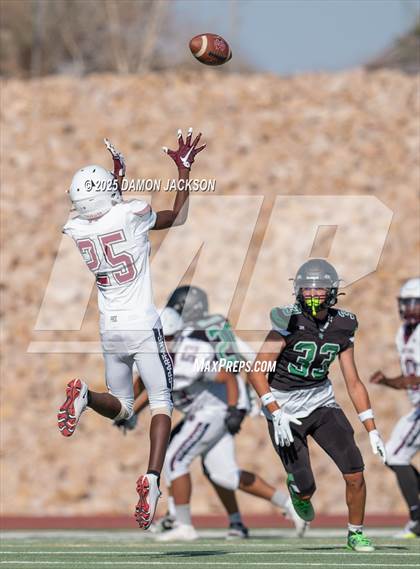Thumbnail 3 in Cimarron-Memorial @ Virgin Valley photogallery.