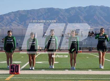 Thumbnail 1 in Cimarron-Memorial @ Virgin Valley photogallery.