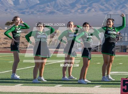 Thumbnail 1 in Cimarron-Memorial @ Virgin Valley photogallery.