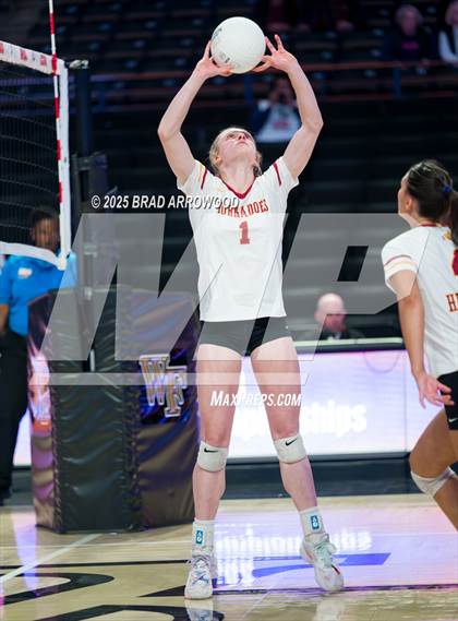 Thumbnail 2 in Hickory vs. Seaforth (NCHSAA 5A Final) photogallery.