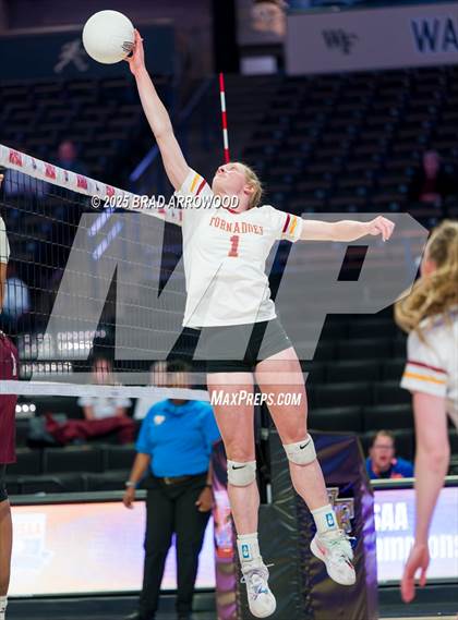 Thumbnail 1 in Hickory vs. Seaforth (NCHSAA 5A Final) photogallery.