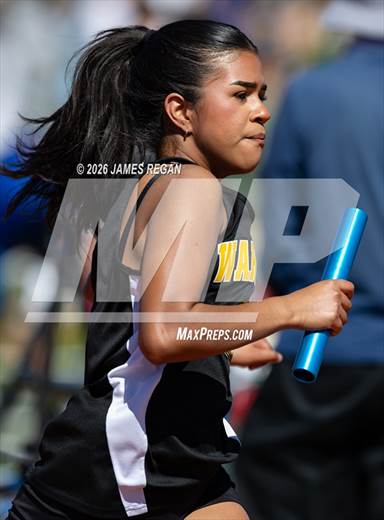 Hillsdale Fighting Knights Relays