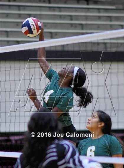 Thumbnail 1 in  Holmes @ MacArthur [Douglas] photogallery.