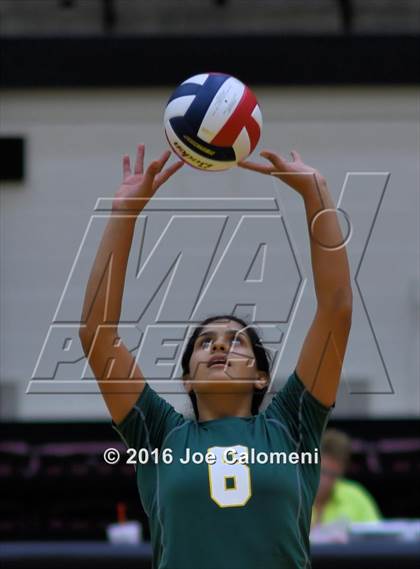 Thumbnail 2 in  Holmes @ MacArthur [Douglas] photogallery.