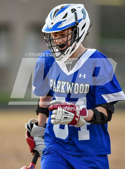 Thumbnail 3 in Parkwood @ Porter Ridge photogallery.