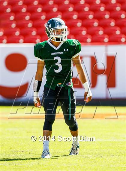 Thumbnail 1 in Oakdale vs. Manteca @ Levi's Stadium photogallery.