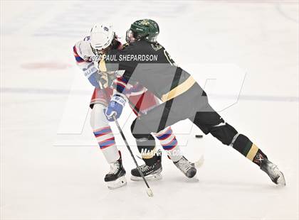 Thumbnail 3 in Cherry Creek vs. Mountain Vista - Wish Week Game photogallery.