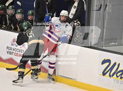 Thumbnail 1 in Cherry Creek vs. Mountain Vista - Wish Week Game photogallery.