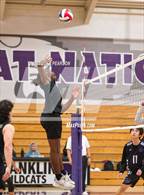 Photo from the gallery "Monterey Trail @ Franklin"