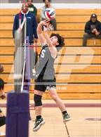 Photo from the gallery "Monterey Trail @ Franklin"