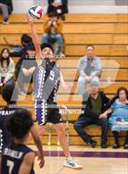 Photo from the gallery "Monterey Trail @ Franklin"