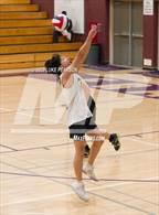 Photo from the gallery "Monterey Trail @ Franklin"