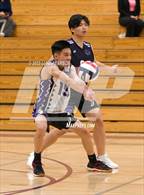 Photo from the gallery "Monterey Trail @ Franklin"