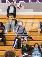 Photo from the gallery "Monterey Trail @ Franklin"