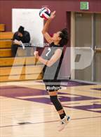 Photo from the gallery "Monterey Trail @ Franklin"