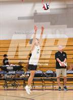 Photo from the gallery "Monterey Trail @ Franklin"