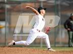 Photo from the gallery "Falcon @ Windsor"