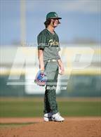 Photo from the gallery "Falcon @ Windsor"